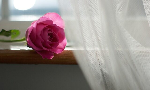 Ile firanki na okno 2m?