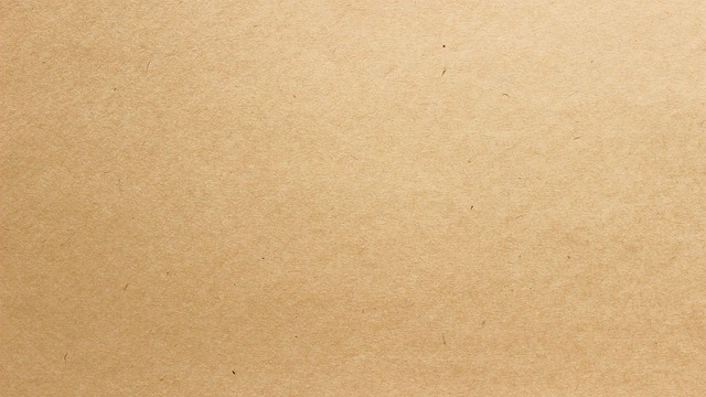 Gdzie po raz pierwszy pojawiła się kartka pocztowa?